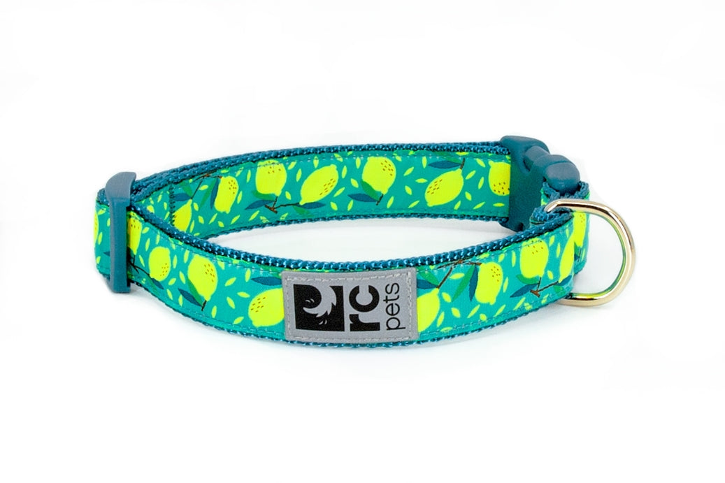 RC Pets - Clip Collar (Lemonade) - Dashing Dawgs Grooming and Boutique 