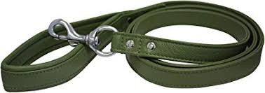 Angel - Alpine Padded Handle Leash (Olive) - Dashing Dawgs Grooming and Boutique 