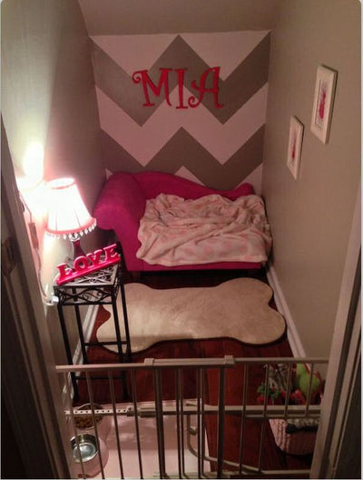 Creating the Perfect Chic Dog Spaces