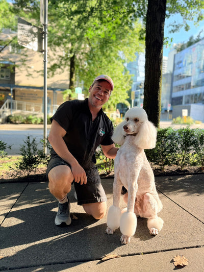 Looking for the Best Pet Groomers Near You? Here’s Why We’re the Top Choice for 2025