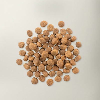 Now Fresh Trout, Salmon & Herring Grain-Free Dry Dog Food