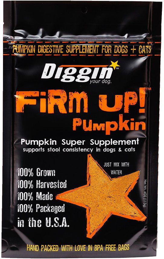 Firm Up Pumpkin - Dashing Dawgs