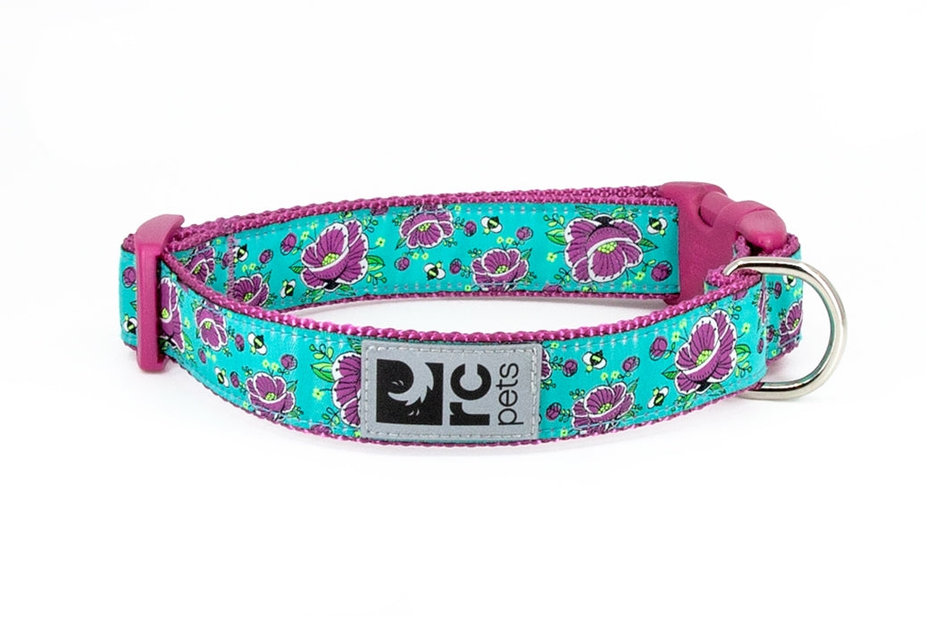 RC Pets - Clip Collar (All The Buzz) - Dashing Dawgs Grooming and Boutique 