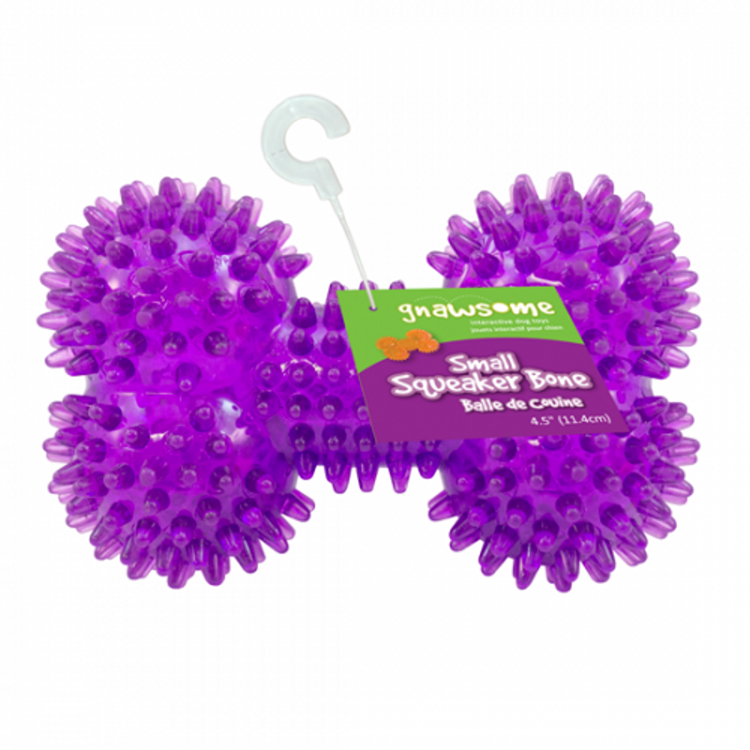 Gnawsome - Squeaker Bone (Small) - Dashing Dawgs Grooming and Boutique 