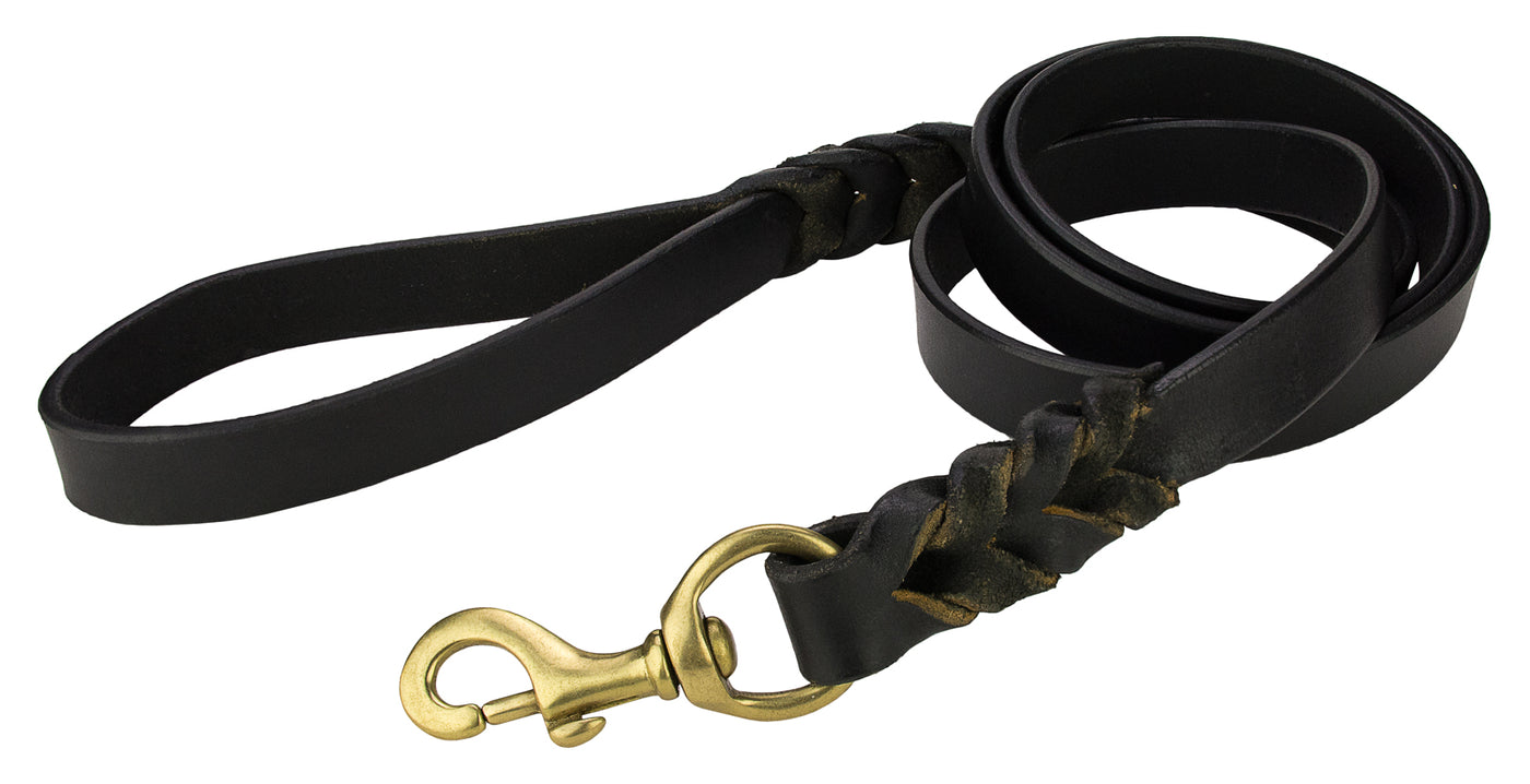 Angel - Braided Leather Leash - Dashing Dawgs Grooming and Boutique 