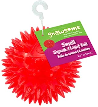 Gnawsome - Squeak & Light Ball (Small) - Dashing Dawgs Grooming and Boutique 