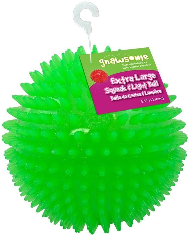 Gnawsome - Squeak & Light Ball (XLarge) - Dashing Dawgs Grooming and Boutique 