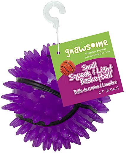 Gnawsome - Squeak & Light Basketball (Small) - Dashing Dawgs Grooming and Boutique 