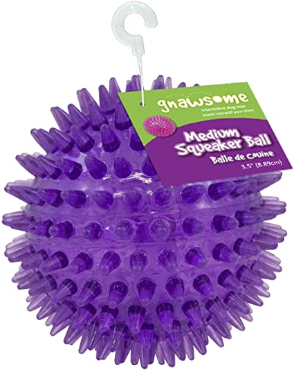 Gnawsome - Squeaker Ball (Medium) - Dashing Dawgs Grooming and Boutique 