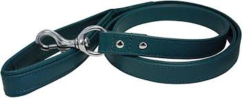 Angel - Alpine Padded Handle Leash (Ocean) - Dashing Dawgs Grooming and Boutique 