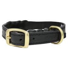 Angel Braided Collar - Dashing Dawgs Grooming and Boutique 