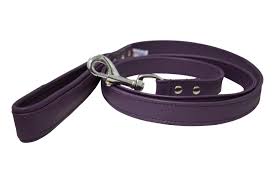 Angel - Alpine Padded Handle Leash (Purple) - Dashing Dawgs Grooming and Boutique 