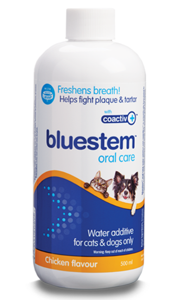 Shops bluestem dog teeth cleaner